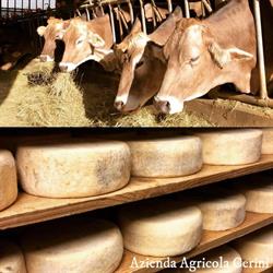 AZIENDA AGRICOLA CERINI, Varallo orari di apertura