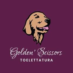 Golden' Scissors, Rovigo orari di apertura