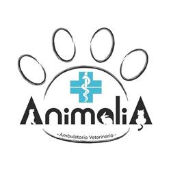 Ambulatorio Veterinario Associato ANIMALIA dei dottori Memmi - Manuguerra, Brescello orari di apertura
