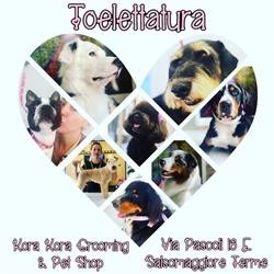 Kora Kora Pet Shop BARF, Salsomaggiore Terme orari di apertura