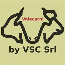 Valecarni by VSC srl, Desenzano del Garda orari di apertura