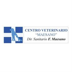 CLINICA VETERINARIA "MAESANO" MESSINA, Messina orari di apertura