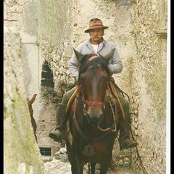 Caino Asde, Canale Monterano orari di apertura