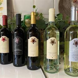 Azienda agricola Pieni Vini e Vigneti, Castel Bolognese orari di apertura