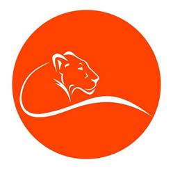 LIONA - consulenza marketing, Imperia orari di apertura