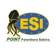 DIEMME Easy Food - ESI Surgelati, Palombara Sabina orari di apertura