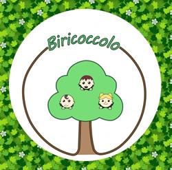 Asilo Nido e scuola infanzia bilingueBiricoccolo, Saronno orari di apertura