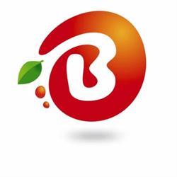 Blasutto Frutta srl, Domodossola orari di apertura