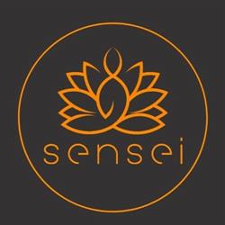 Sensei japanese fusion, Torino orari di apertura