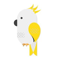Cockatoo Foto@Grafica di Claudia Suriano, Gozzano orari di apertura