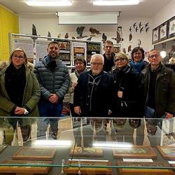 Museo di Scienze Naturali Alvise Comel, Gorizia orari di apertura