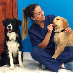 Ambulatorio Veterinario Associato Dr.ssa Bandiera Dott.ssa Usai, Sassari orari di apertura