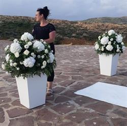 Oasi fiori e piante, Sant'Antioco orari di apertura