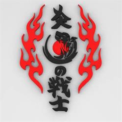 Associazione i guerrieri del fuoco - Centro yoga e arti marziali, Varese orari di apertura
