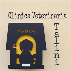 Clinica Veterinaria Talini, Pistoia orari di apertura