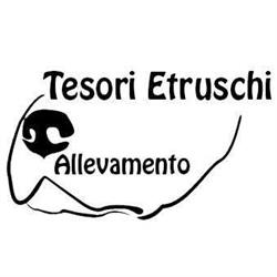 Tesori Etruschi allevamento cuccioli di Rottweiler - Bulldog Francese - Chihuahua, Pratolino orari di apertura