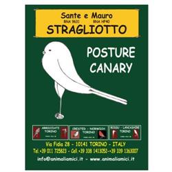 Animali Amici di Stragliotto - Negozio di Animali e Allevamento Volatili, Torino orari di apertura