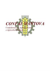 CONFAI MANTOVA - Confederazione Agromeccanici e Agricoltori Italiani, Mantova orari di apertura