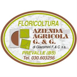 Floricultura GeG - vivaio - vendita piante - ingrosso e dettaglio - fiori, Prevalle orari di apertura