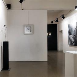 Galleria Forzani, Terni orari di apertura