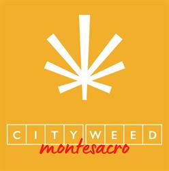 City Weed Grow Shop Roma Montesacro - CBD SHOP - HEMP - CANNABIS LIGHT, orari di apertura
