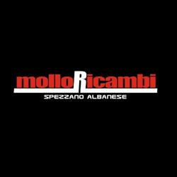 molloricambi srl, Spezzano Albanese orari di apertura