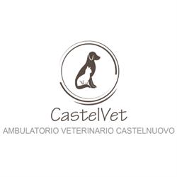 CastelVet, Castelnuovo Rangone orari di apertura