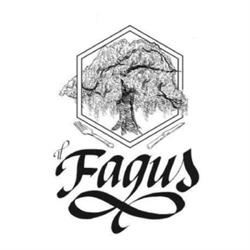 Il Fagus, Cassano d'Adda orari di apertura
