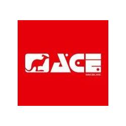 Ace Immobiliare, Bologna orari di apertura