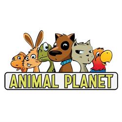 Animali Planet di Crescenzo Palumbo, Bacoli orari di apertura