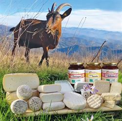 Pilan e Cereseto Società agricola, Pontasso orari di apertura