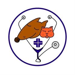 Ambulatorio Centro Veterinario Il Castellare, Pescia orari di apertura
