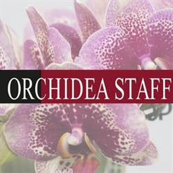 Orchidea Staff S.r.l., Reggio Calabria orari di apertura