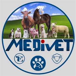 Medivet SRL, Teramo orari di apertura