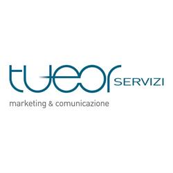 Tueor Servizi Srl, Torino orari di apertura