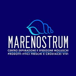 Ittica Marenostrum, Taviano orari di apertura