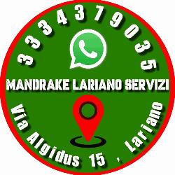 Mandrake Multiservizi, Lariano orari di apertura