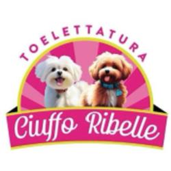 Ciuffo Ribelle Toelettatura per Cani, Nago orari di apertura