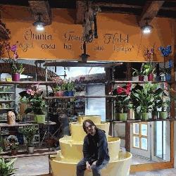 Agraria Hobby Verde, San Marcello Piteglio orari di apertura