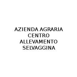 Azienda Agraria Centro Allevamento Selvaggina di Freschini Simona, Perugia orari di apertura