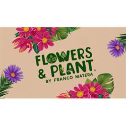 Flowers & Plants, Andria orari di apertura