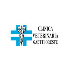 Clinica Veterinaria Dott. Oreste Gaetti Pronto Soccorso Veterinario, Curtatone orari di apertura