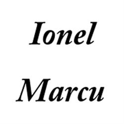Ionel Marcu, Zevio orari di apertura
