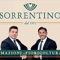 Agenzia Funebre Dal 1880 Erminio Pani Gruppo Sorrentino, Cagliari orari di apertura