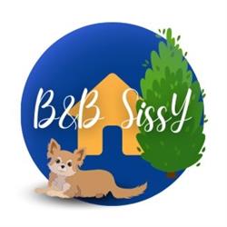 B&B Sissy, Manoppello orari di apertura