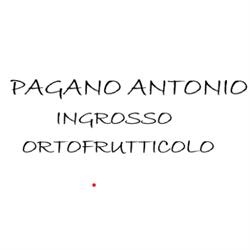 Pagano Antonio Ingrosso Ortofrutticolo, Copertino orari di apertura