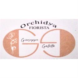Fiorista Orchidya, Valenzano orari di apertura