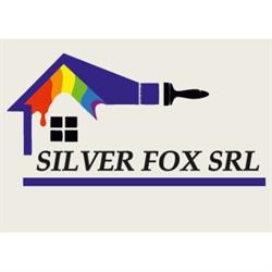 Silver Fox Imbiancature, San Pietro Mosezzo orari di apertura