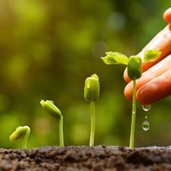 nanoagrotech, Verona orari di apertura