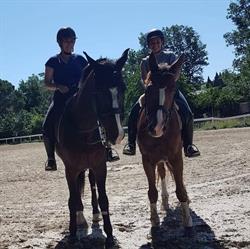 A.S.D Fontebranda Equitazione, Arezzo orari di apertura